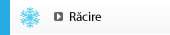 Racire